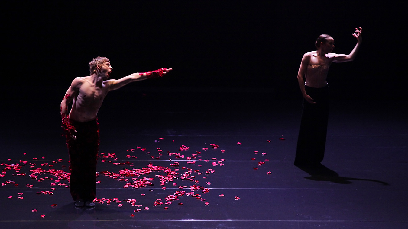 BALLETS DE MONTE-CARLO 12 BMC-spectre-photo-M-L-BRIANE-Full-image-complet1