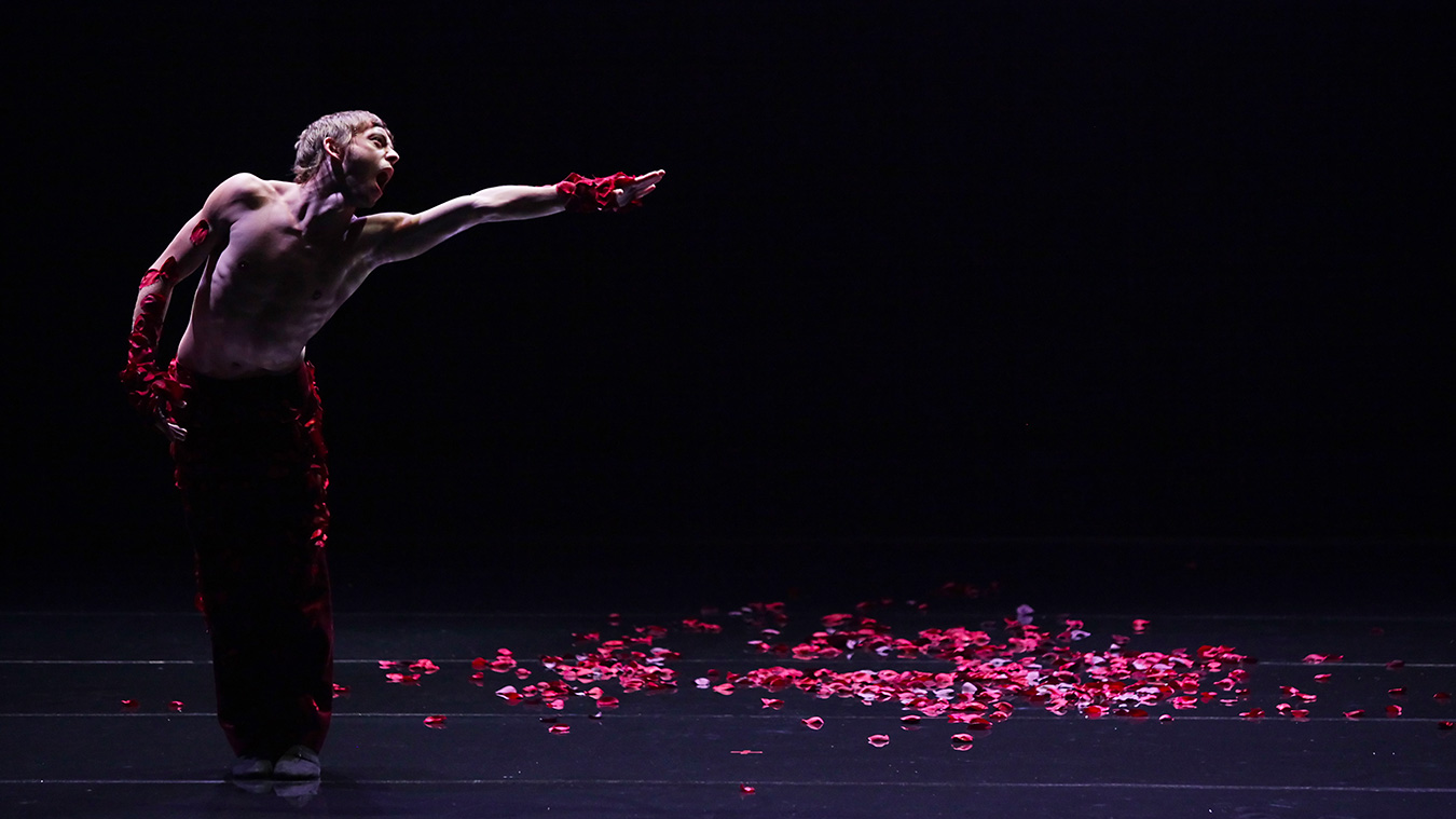 BALLETS DE MONTE-CARLO 15 BMC-spectre-photo-M-L-BRIANE-Full-image-complet2