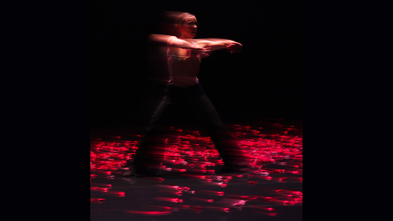 BALLETS DE MONTE-CARLO 13 BMC-spectre-photo-M-L-BRIANE-Full-image-complet3