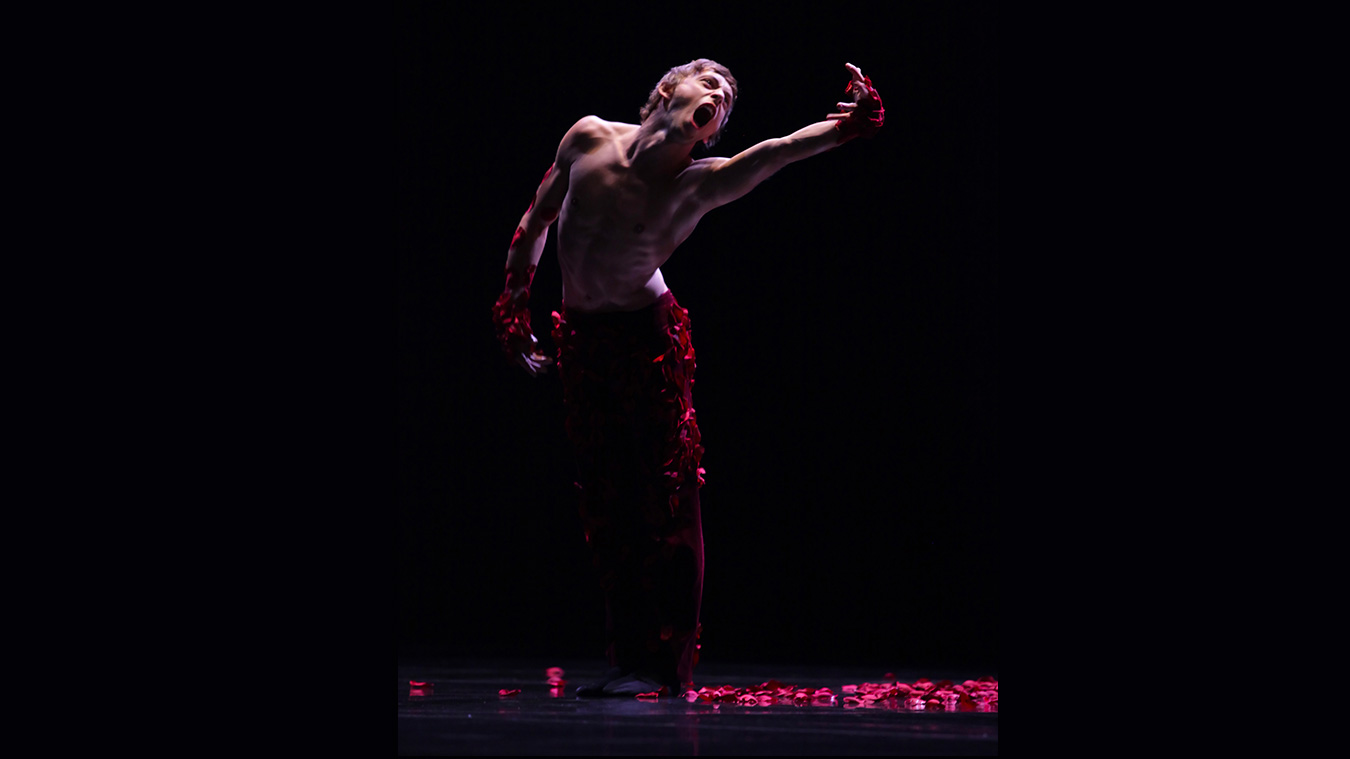 BALLETS DE MONTE-CARLO 14 BMC-spectre-photo-M-L-BRIANE-Full-image-complet4
