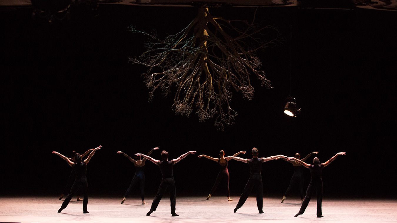 BOSTON BALLET 12 Boston-Ballet-Wings-of-Wax-photo-Rosalie-O-Connor_Full-image-complet2