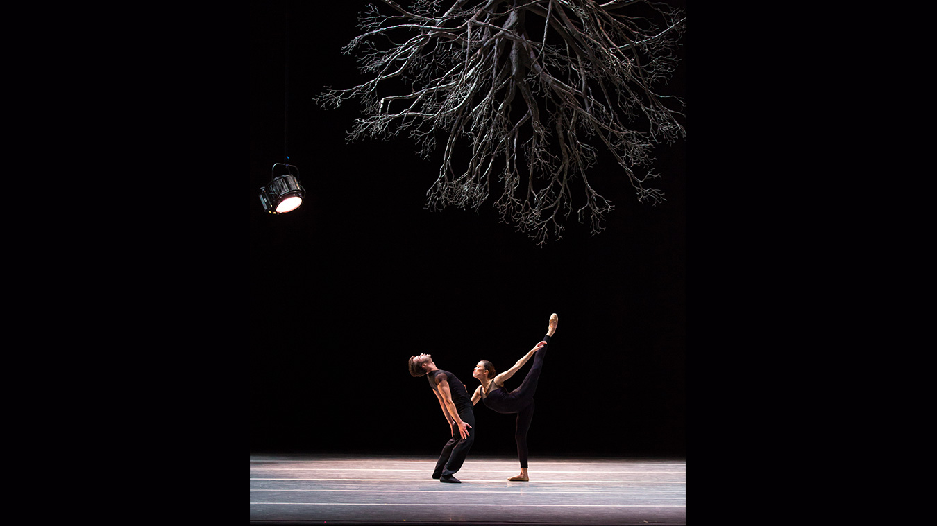 BOSTON BALLET 13 Boston-Ballet-Wings-of-Wax-photo-Rosalie-O-Connor_Full-image-complet3