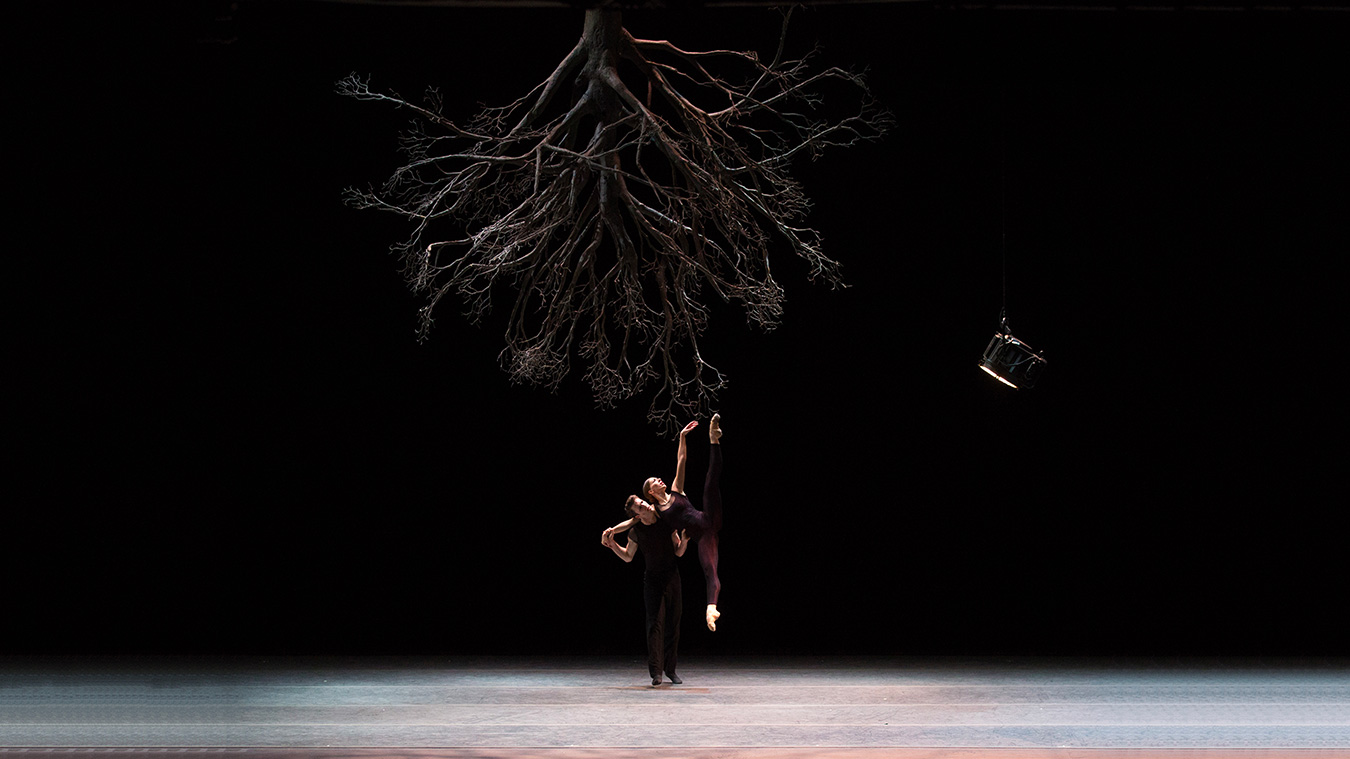 BOSTON BALLET 14 Boston-Ballet-Wings-of-Wax-photo-Rosalie-O-Connor_Full-image-complet4