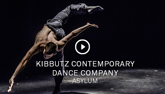 KIBBUTZ CONTEMPORARY DANCE COMPANY 1 Kibbutz Contemporary KCDC ASYLUM tournees vignette newformat 23 24 - Productions Internationales Albert Sarfati