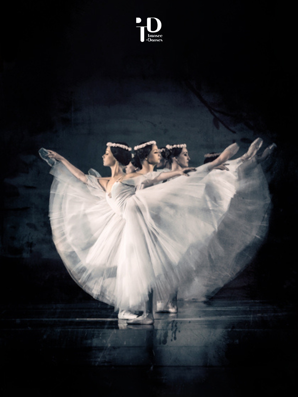 Transcendanses 14 Giselle Ballet national dUkraine PROD ANCIENNES 22 23 vignettes affiches - Productions Internationales Albert Sarfati