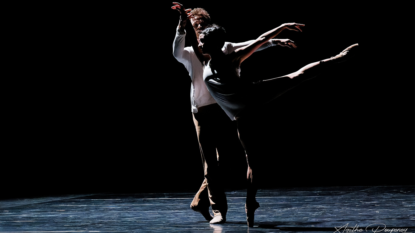 FRANCENDANSES 4 Francendanses CCN Ballet du Rhin Daylight Slider autres photos productions 23 24 - Productions Internationales Albert Sarfati