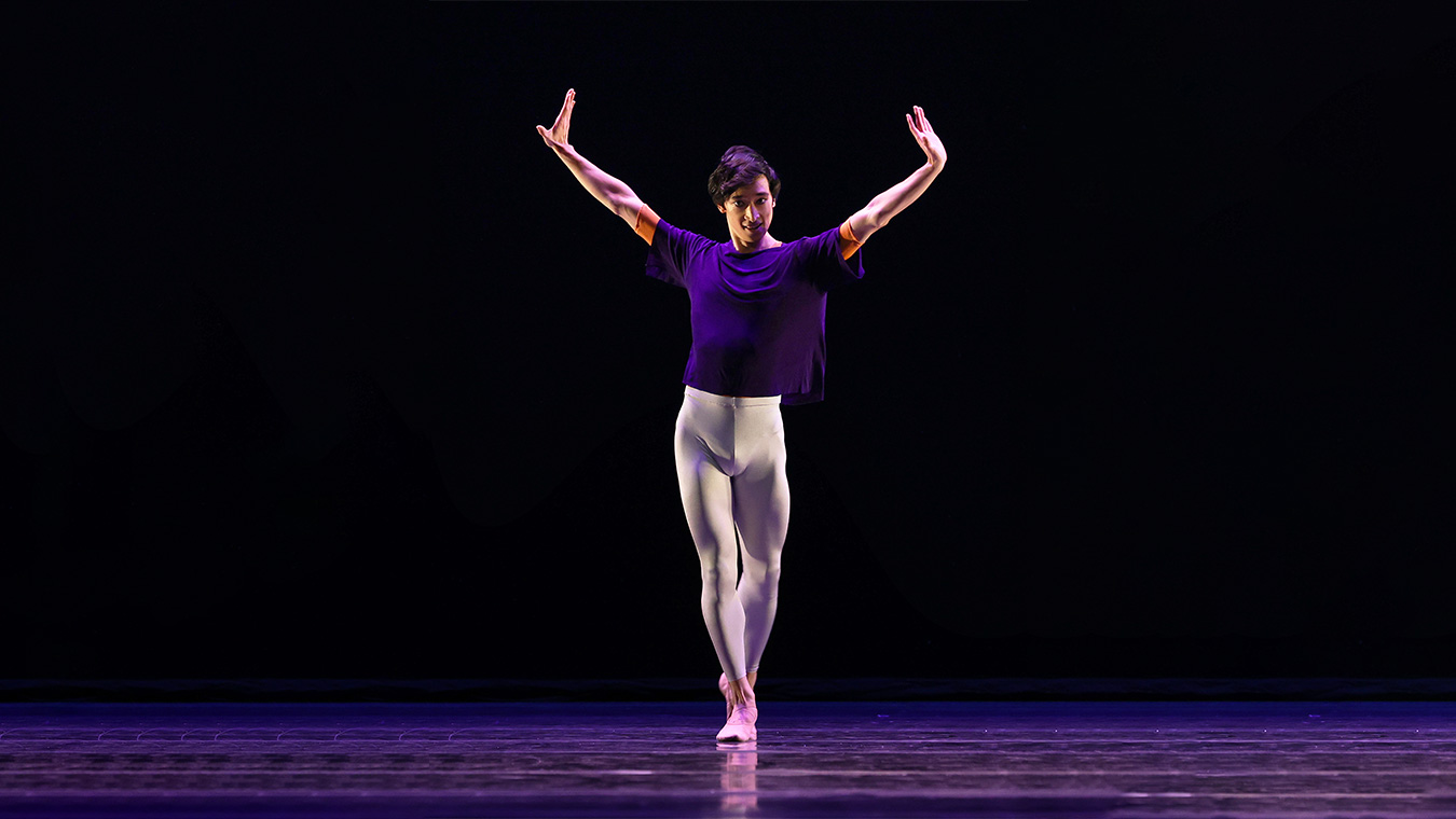 DUTCH NATIONAL BALLET<br>Hans van Manen 8 Dutch National Ballet Solo Transcendanses PIAS 06 - Productions Internationales Albert Sarfati
