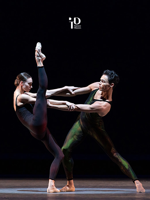 Transcendanses 4 Dutch National Ballet poster image a la une - Productions Internationales Albert Sarfati