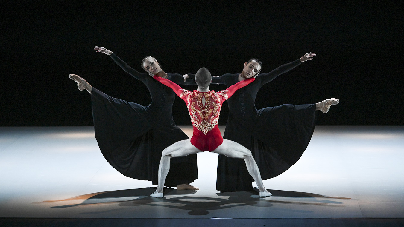 MALANDAIN BALLET BIARRITZ 2 malandain 26 27 L OISEAU DE FEU Transcendanses PIAS 01 - Productions Internationales Albert Sarfati
