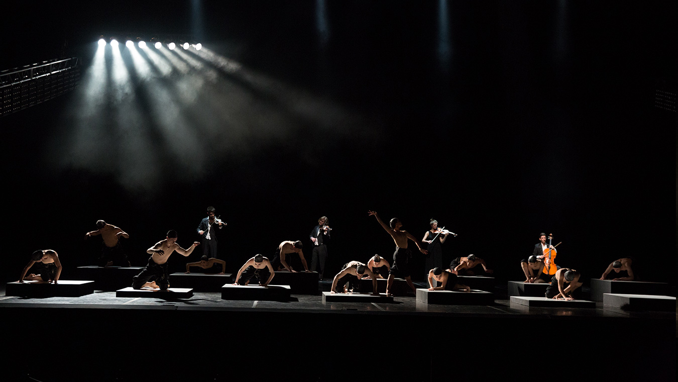 BOSTON BALLET <br>KHAN | EKMAN 2 BostonBallet 26 27 Cacti Transcendanses PIAS 01 - Productions Internationales Albert Sarfati