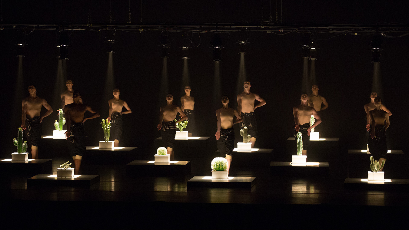 BOSTON BALLET <br>KHAN | EKMAN 6 BostonBallet 26 27 Cacti Transcendanses PIAS 03 - Productions Internationales Albert Sarfati